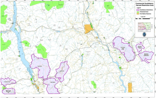 Screen Shot 2020-04-11 at 4.00.29 PM.png